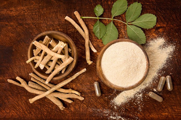 How to Supplement Ashwagandha to Decrease Stress and Anxiety, Increasing Focus and Relaxation